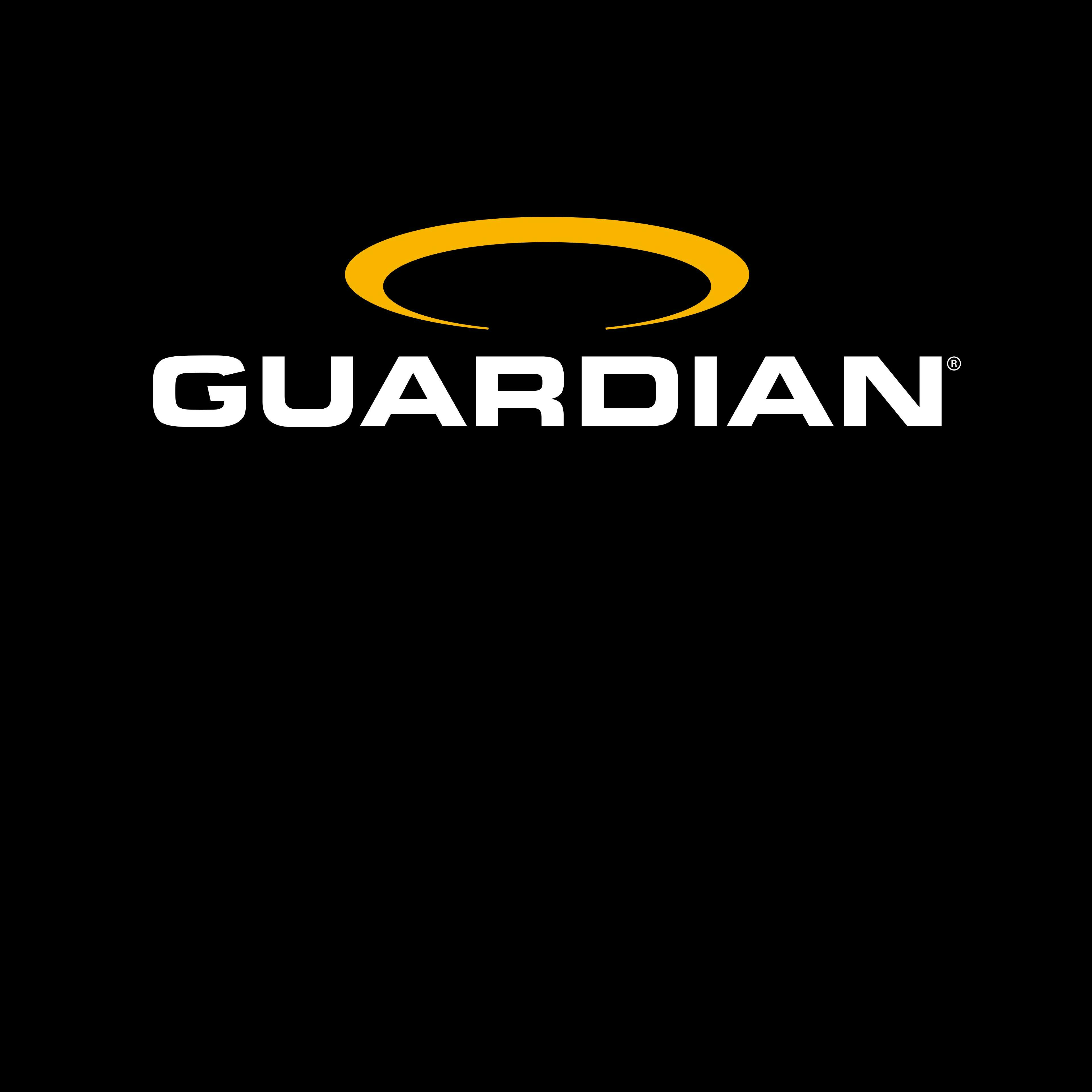 Guardian Resigns from Lifting Equipment Engineers Association