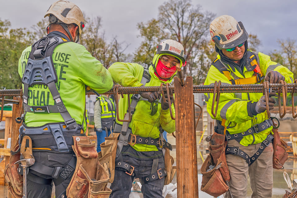 Defender Harness | Guardian Fall Protection